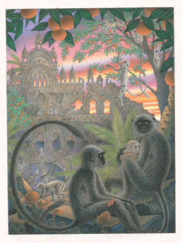 Childrens-Illustration-Junglebook